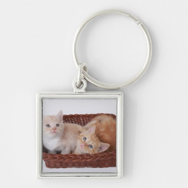 Kittens in basket key ring (Front)
