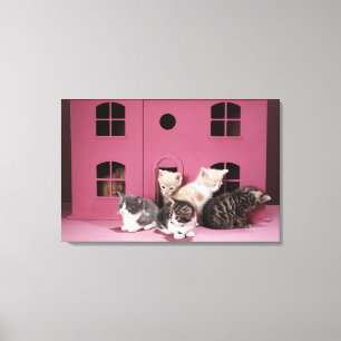 Kittens in doll's house canvas print