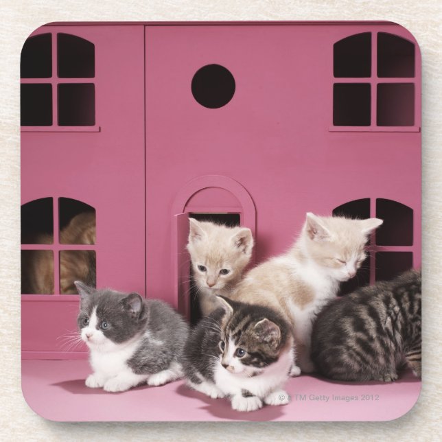 Kittens in doll's house coaster (Front)