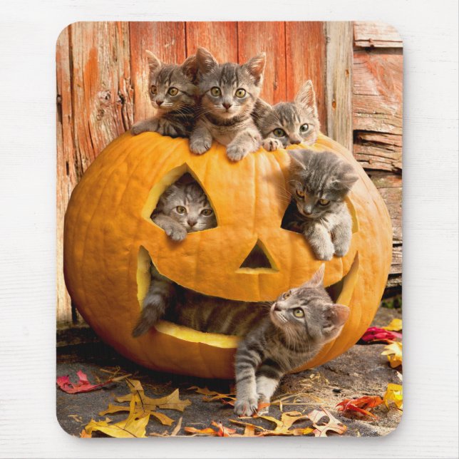 Kittens in Jack-o-Lantern Mouse Pad (Front)