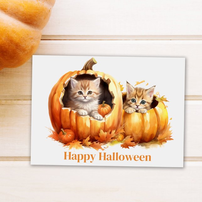 Kittens in Pumpkins Halloween  Postcard (Cute Kitten in Pumpkin Halloween Postcard on white table next to a pumpkin)