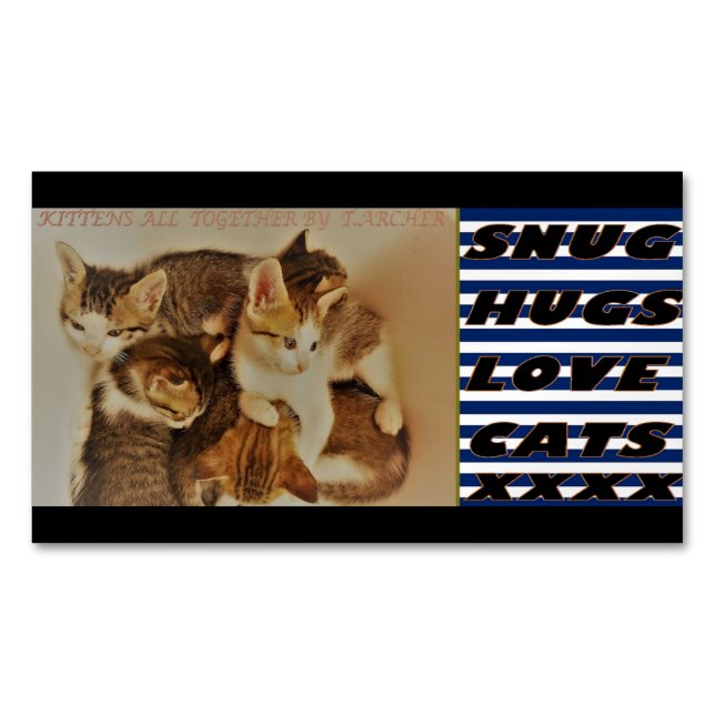 Kittens in repose picture original    magnetic business card (Front)