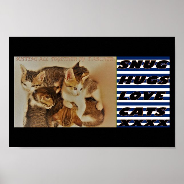 Kittens in repose picture original poster (Front)