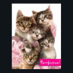 Kittens in Tutus Poster<br><div class="desc">Purrfection! | Avanti,  the Global Humor Brand™ has been entertaining the world with its Feel Good Funny greeting cards for over 40 years. Our characters live life to the fullest and celebrate the humor in everyday life.</div>