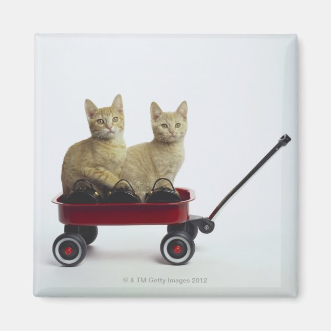 Kittens in wagon magnet (Front)
