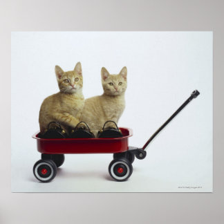 Kittens in wagon poster