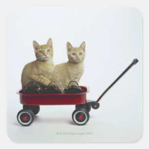 Kittens in wagon square sticker