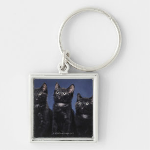 Kittens Key Ring