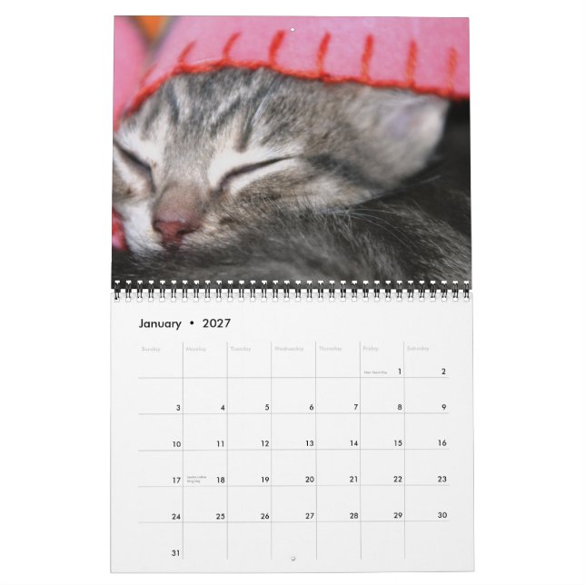 Kittens, kittens! calendar (Jan 2027)