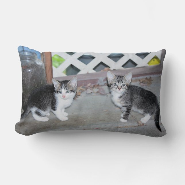 Kittens Lumbar Cushion (Front)