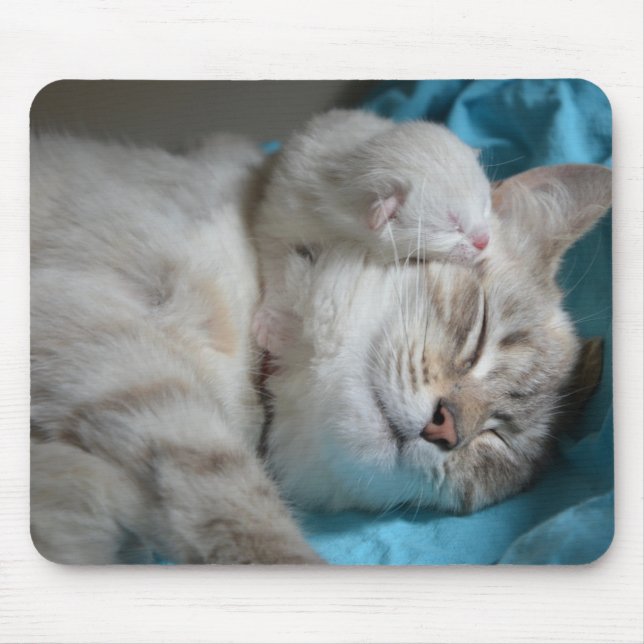 Kittens mum and son mouse pad (Front)