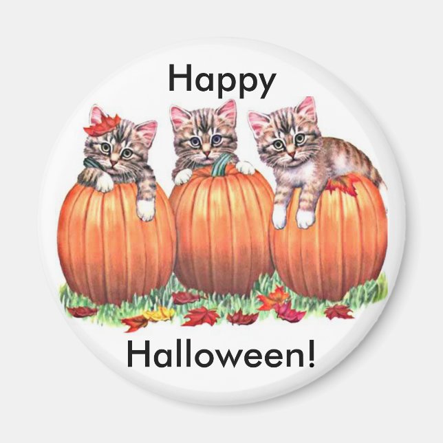 Kittens on Pumpkins for Halloween Button Magnet (Front)