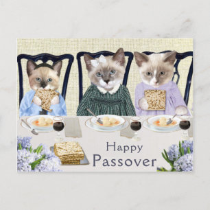 Kittens Passover Postcard