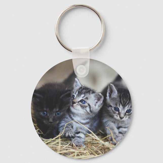Kittens, Pet, Felines Key Ring (Front)