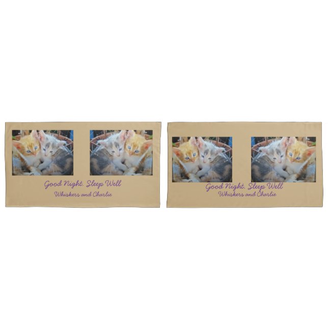  Kittens Photo Quote  Pillowcase (Front-Set)