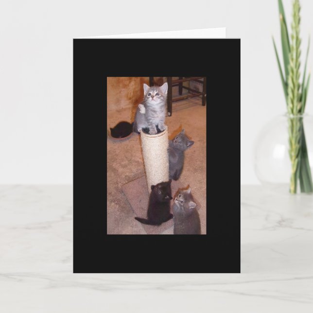 Kittens Playing Card (Front)