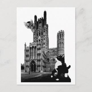 Kittens playing on Ely Cathedral Postcard