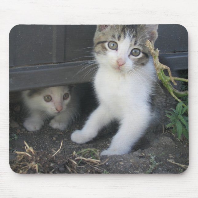 Kittens Playing on the Farm Mousepad (Front)