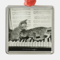 Kittens Playing the Piano
