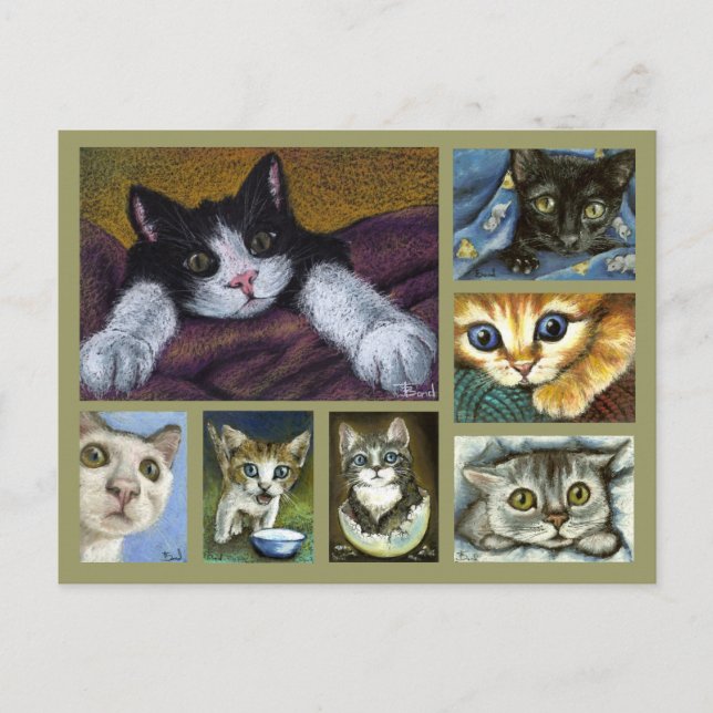 Kittens postcard (Front)