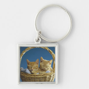 Kittens sleeping in basket key ring