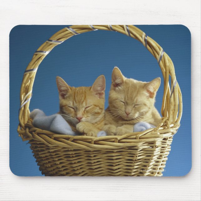 Kittens sleeping in basket mouse pad (Front)