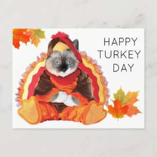 Kittens Thanksgiving Turkey Day Postcard
