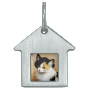 KITTENS Waking up Pet Tag