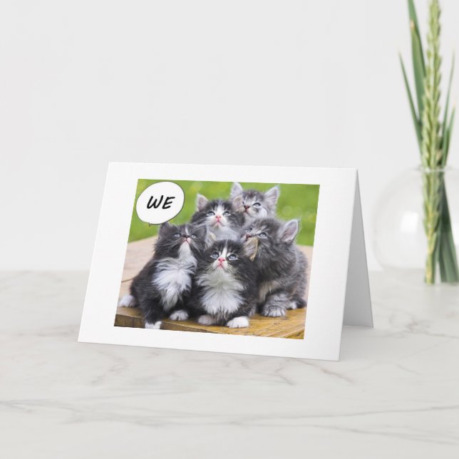 KITTENS WANT TO WISH BEST FRIEND HAPPY BIRTHDAY CARD (Front)