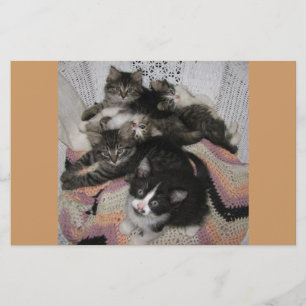 Kitties chair share