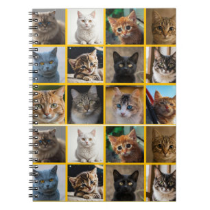 Kitties Everywhere Notebook
