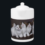 Kitties in a Row Porcelain Teapot<br><div class="desc">Porcelain teapot with adorable Scottish kittens in a row.</div>
