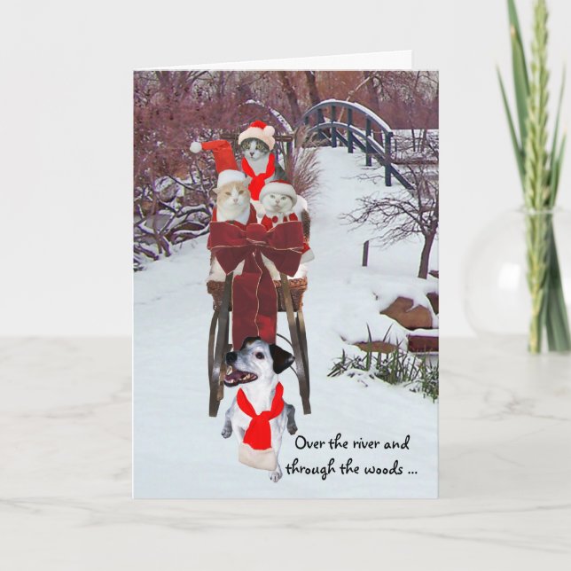 Kitties' Sleigh Ride Holiday Card (Front)
