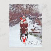 Kitties' Sleigh Ride