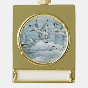 Kittiwakes Flying Gold Plated Banner Ornament