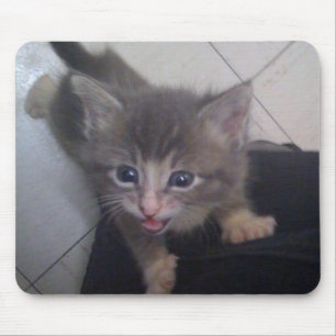 kittty mouse pad