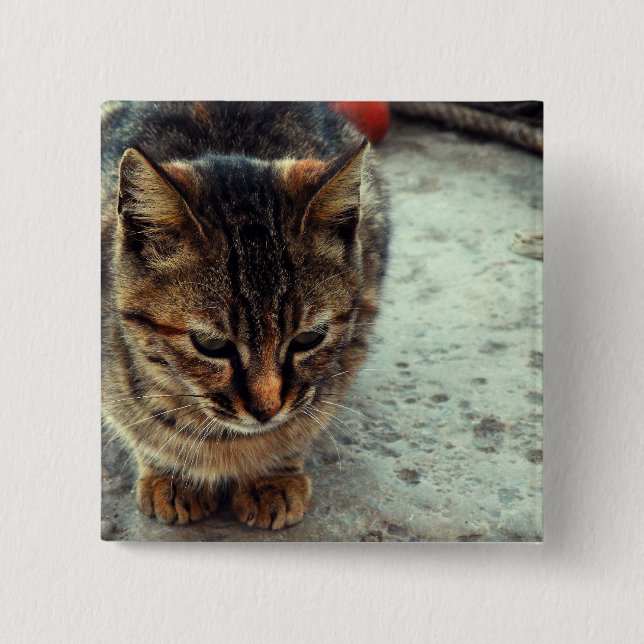 Kitty 15 Cm Square Badge (Front)