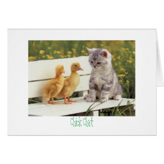 kitty and ducks Chick Chat