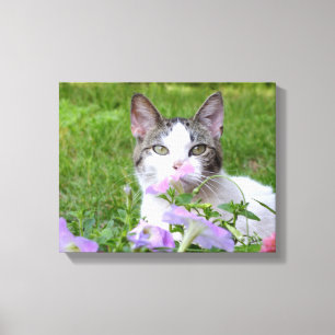 Kitty and Pink Petunias Canvas Print