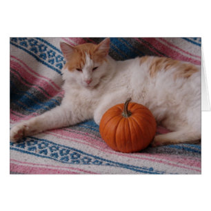 Kitty and Pumpkin