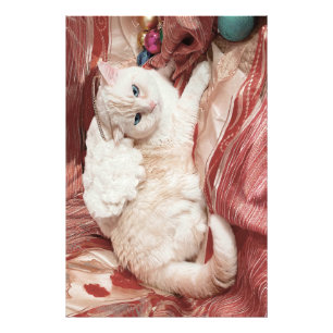Kitty Angel Photo Print