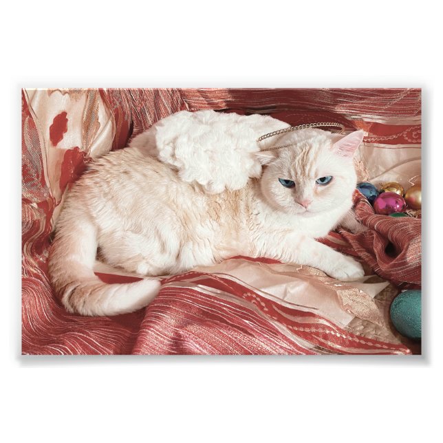 Kitty Angel Photo Print (Front)