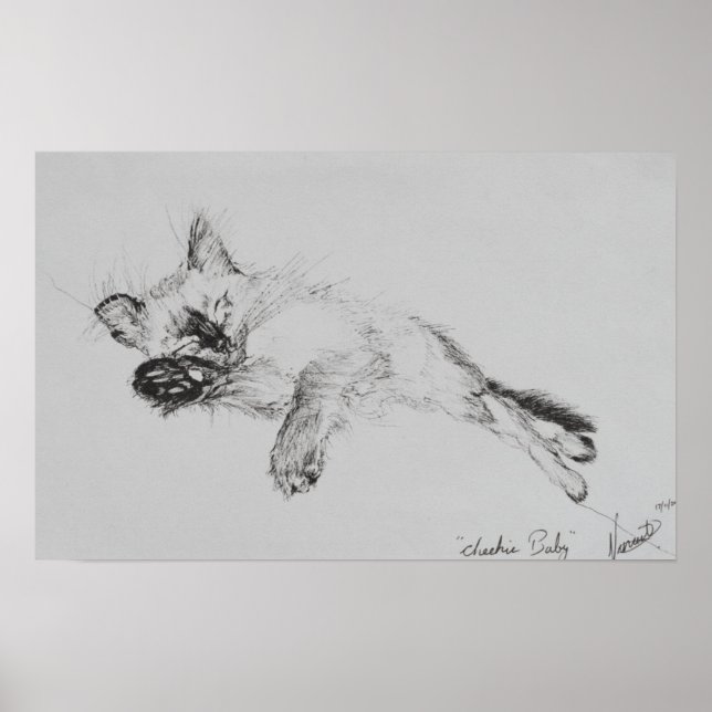 Kitty 'Baby' Poster (Front)