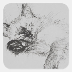 Kitty 'Baby' Square Sticker