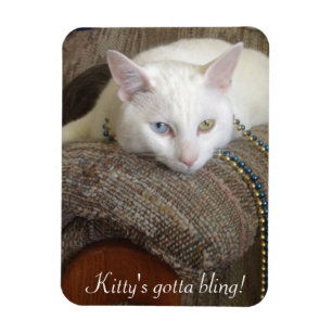 Kitty Bling Photo Magnet