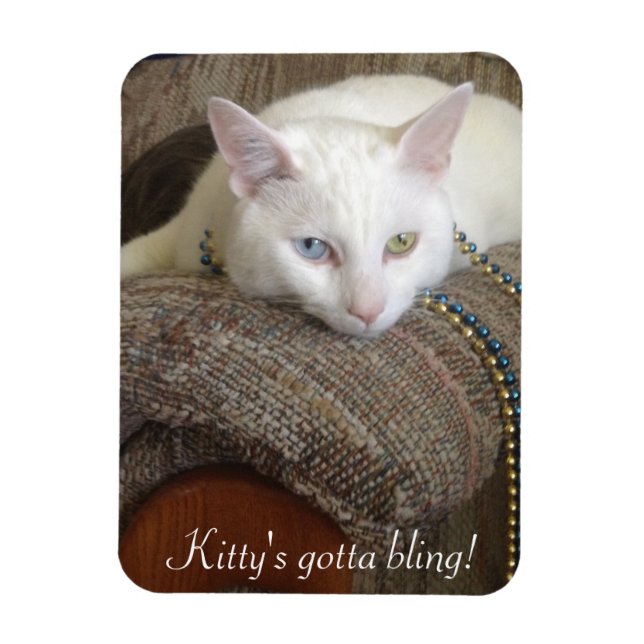 Kitty Bling Photo Magnet (Vertical)