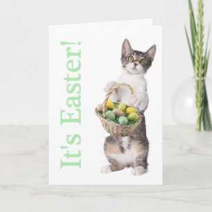 Kitty brings you an Easter basket Holiday Card