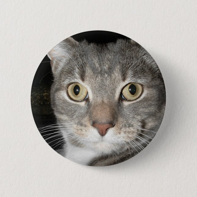 Kitty button (Front)