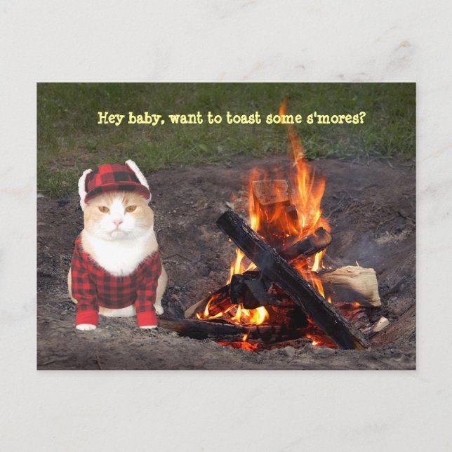 Kitty Campfire Postcard (Front)