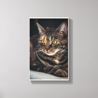 Kitty Canvas Print